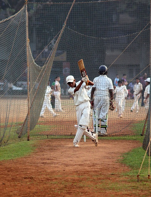 Cricket and Cross-Sport Collaboration: Lessons from Crossover Events